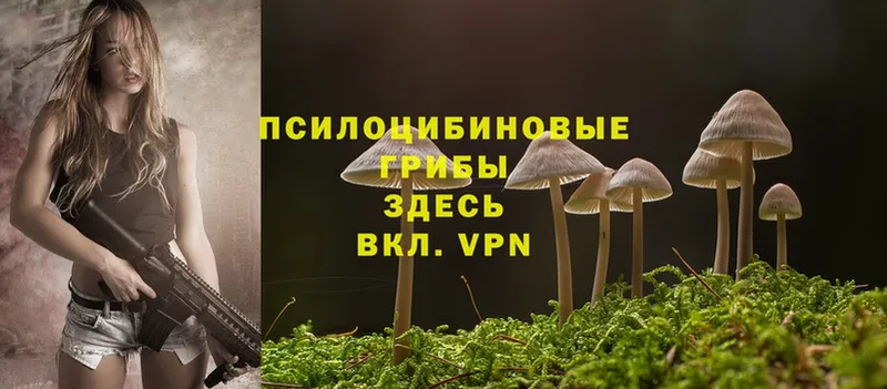 Псилоцибиновые грибы Magic Shrooms  Апатиты 